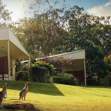 Boonah Valley Motel Eksteriør bilde