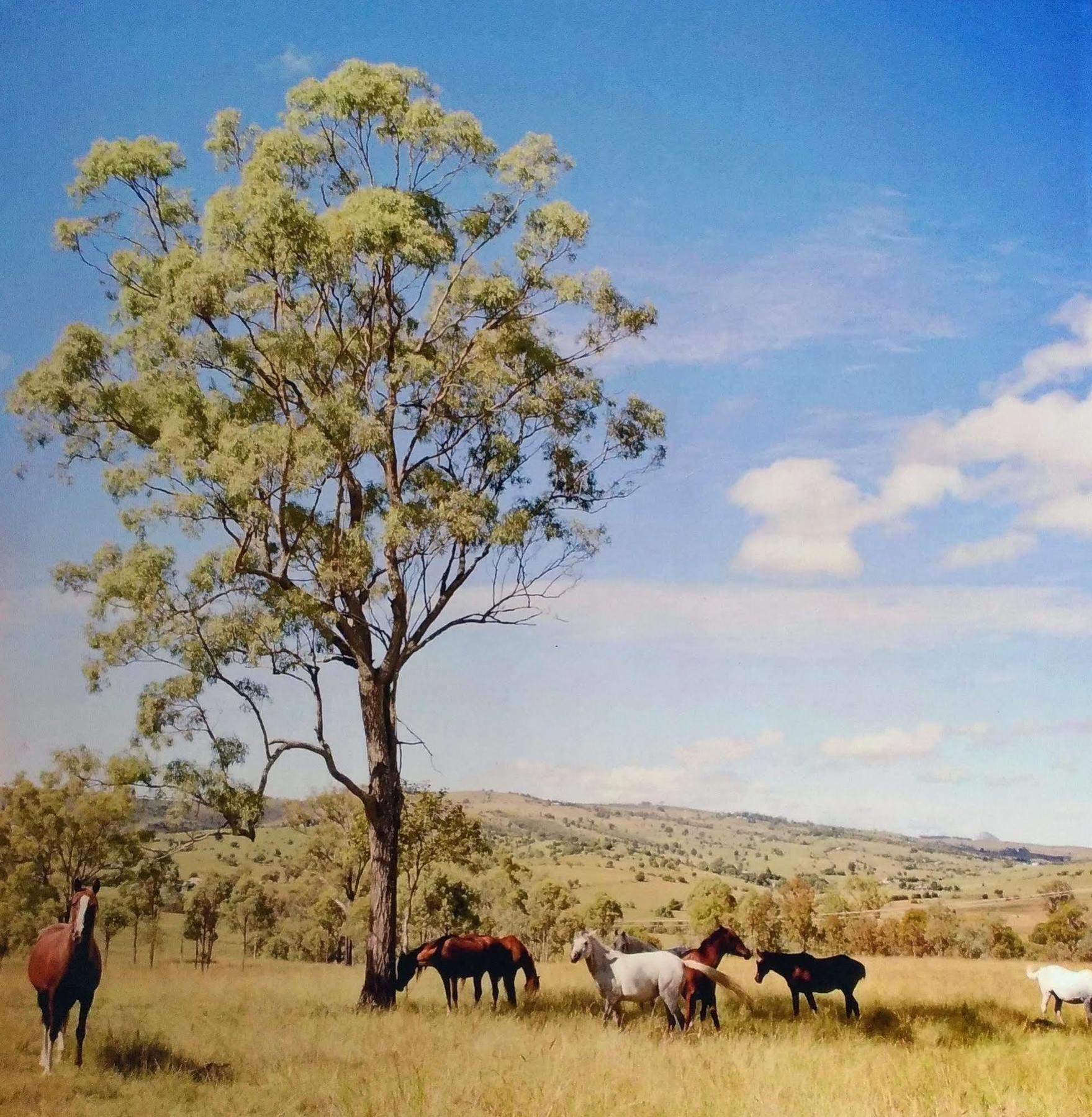 Boonah Valley Motel Eksteriør bilde