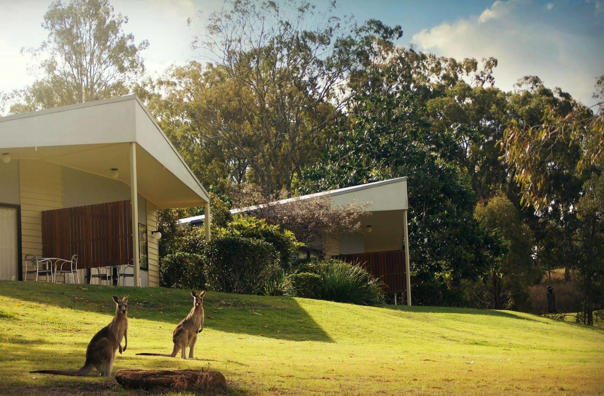 Boonah Valley Motel Eksteriør bilde